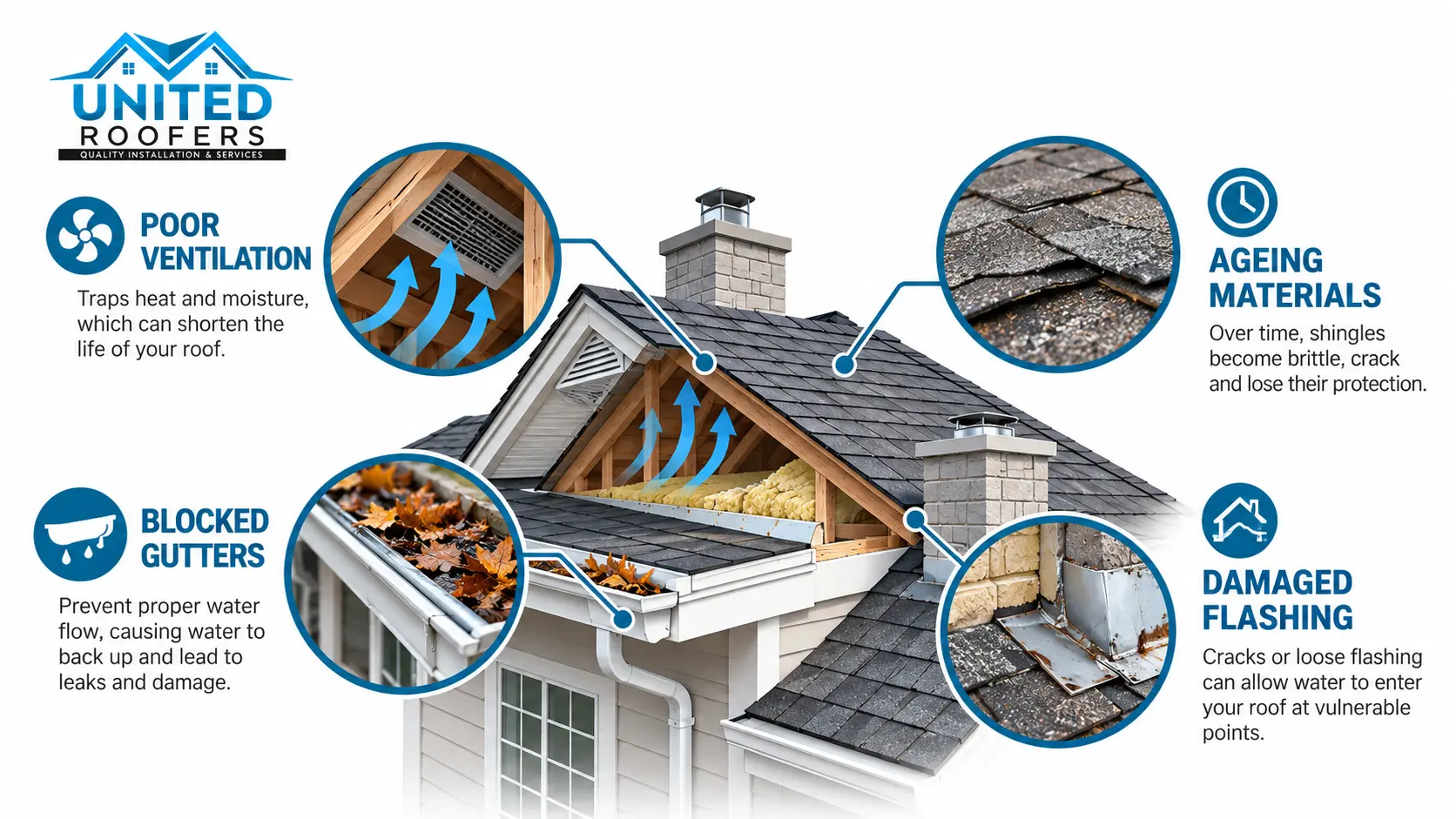 Roof Problems Infographic_ Four Key Warning Signs What Could Really Be Damaging Your Roof